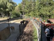 IMG4533