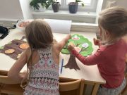 IMG6425